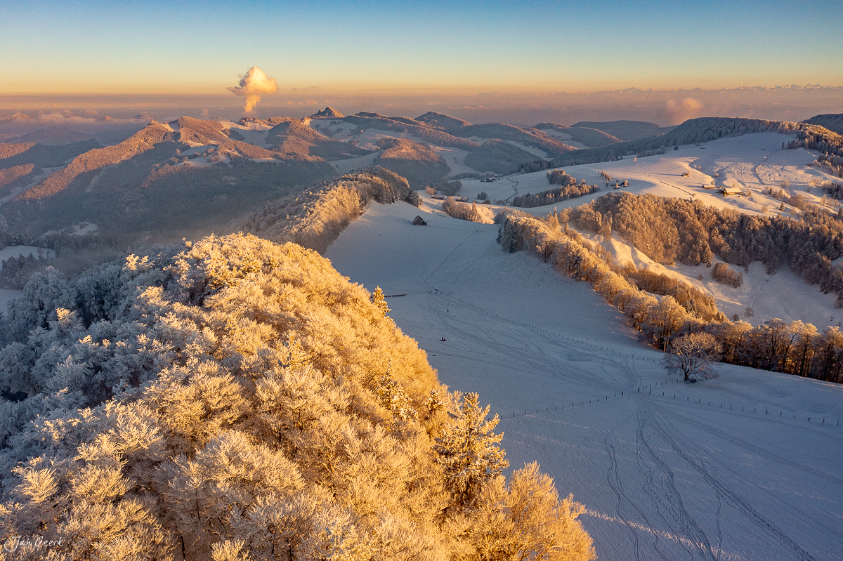 Schneebedeckte Waldweid mit morgendlichem Kantlicht, verschneite Hügel und Wälder in der Landschaft des Basellands, Schweiz – Jan Geerk Fotograf Basel