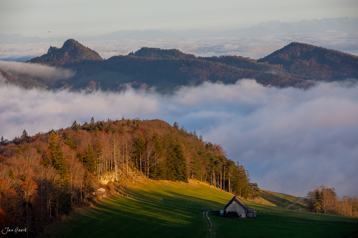Herbstliche Waldweid mit Nebel und Bergkulisse in Baselland, Schweiz – Jan Geerk Fotograf Basel