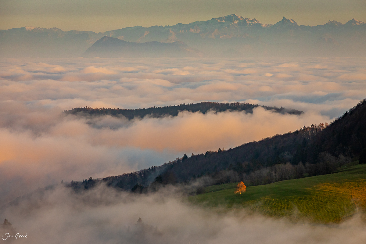 Nebelwelle über Waldweid im Baseland mit herbstlichem Kantlicht und Alpenpanorama Schweiz Jan Geerk Fotograf Basel