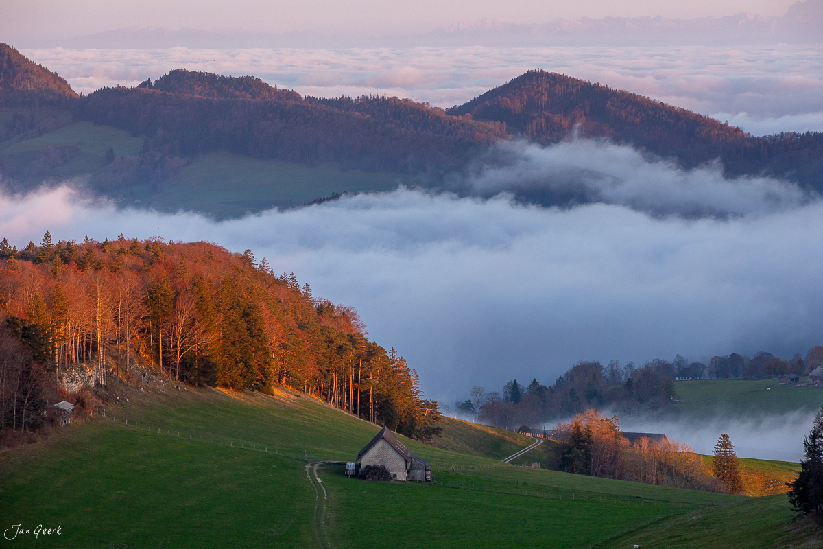 Herbstliche Waldweid mit Nebel, Bergwald und Wisenfluh in der Nordwestschweiz – Jan Geerk Fotograf Basel