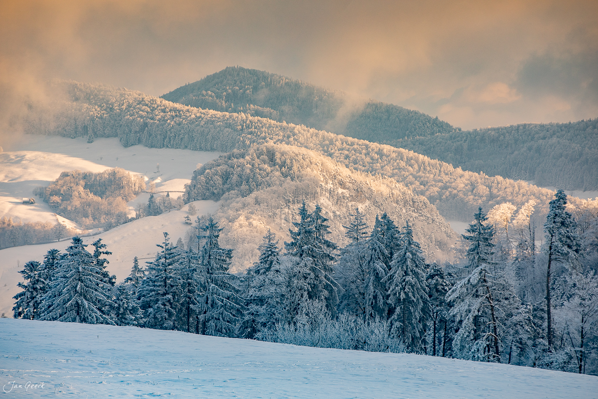 Verschneite Waldweid mit schneebedeckten Fichten und goldenem Morgenlicht über sanften Hügeln in Baselland Schweiz – Jan Geerk Fotograf Basel