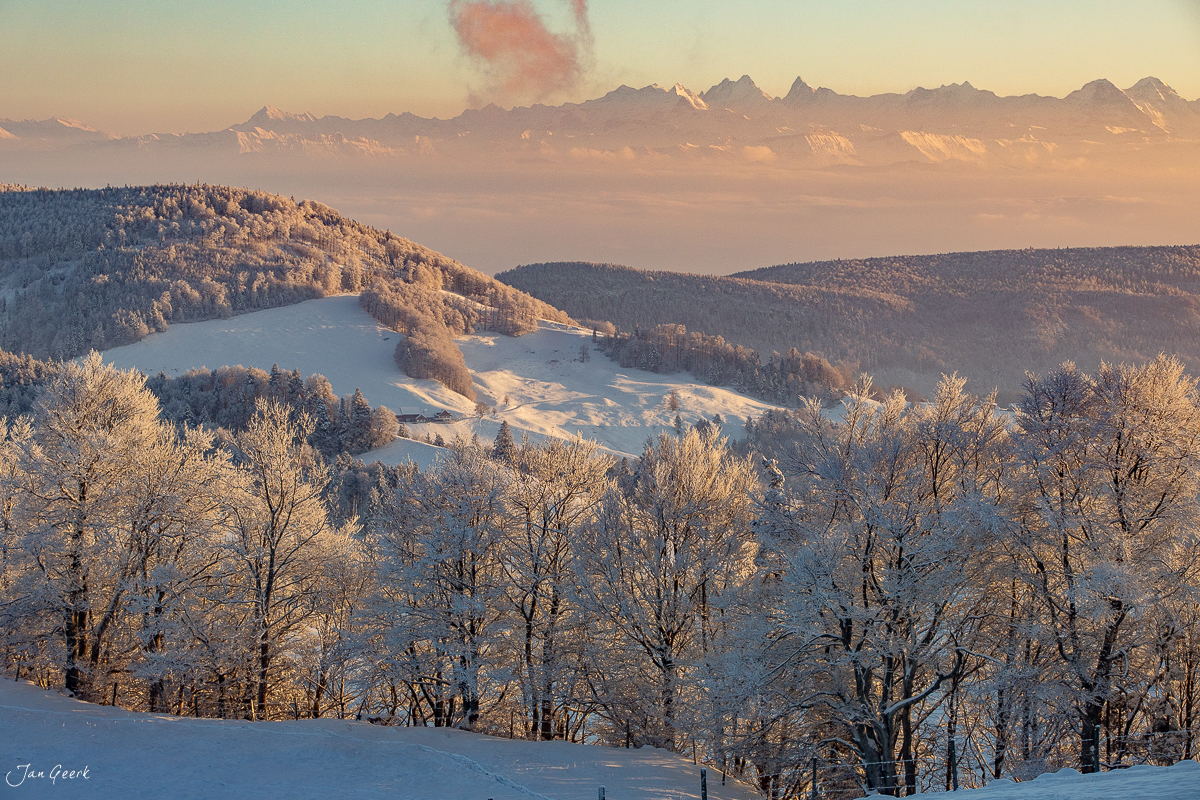 Winterlandschaft Waldweid mit verschneiten Bäumen, See und Alpenkette bei Sonnenlicht, Baselland Schweiz – Jan Geerk Fotograf Basel