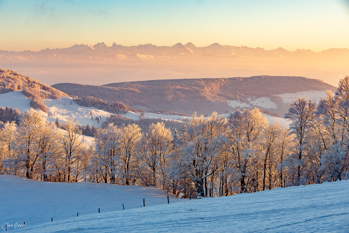 Verschneite Waldlandschaft bei Waldweid mit Appenzeller Alpen im Morgenlicht, Baselland Winter Schweiz – Jan Geerk Fotograf Basel