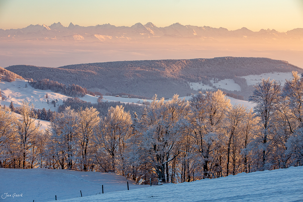 Winterlandschaft Waldweid mit Schnee, Wald und Alpenpanorama in der Morgensonne, Baselland Schweiz – Jan Geerk Fotograf Basel