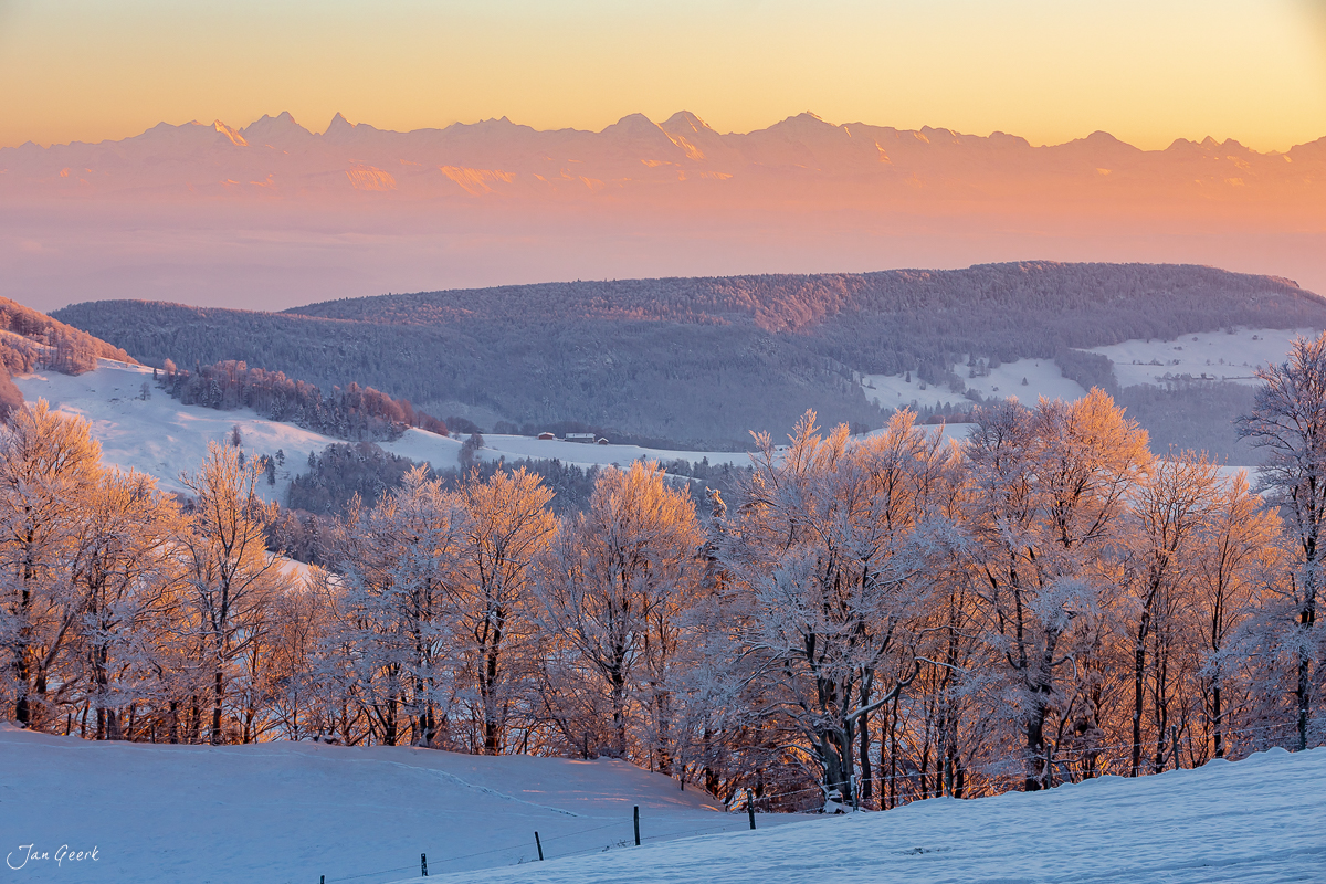 Winterlandschaft Waldweid mit verschneiten Bäumen und Alpenblick bei Sonnenaufgang in Baselland Schweiz – Jan Geerk Fotograf Basel