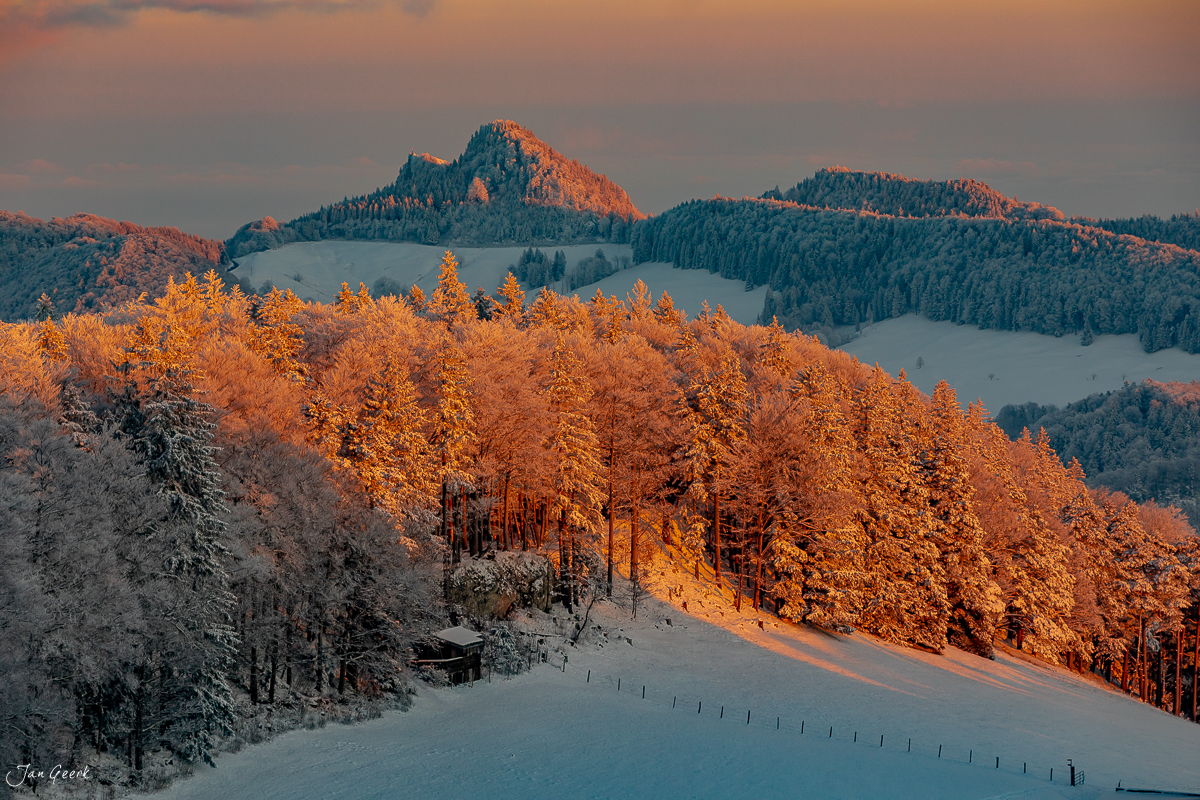 Winterlandschaft Waldweid mit schneebedeckten Fichten im goldenen Kantlicht, Baselland Schweiz – Jan Geerk Fotograf Basel