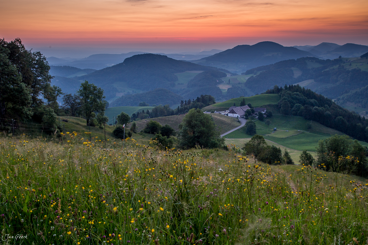 Blütenreiche Wiese mit Bauernhof in der Belchenregion bei Sonnenuntergang, Baselland Schweiz – Jan Geerk Fotograf Basel