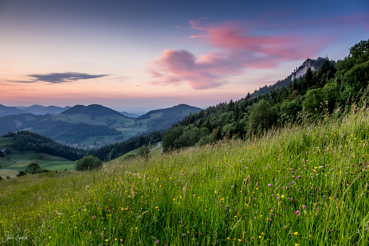 Blütenwiese mit Ankenballen Bergpanorama Sonnenuntergang Sommer Schweiz – Jan Geerk Fotograf Basel