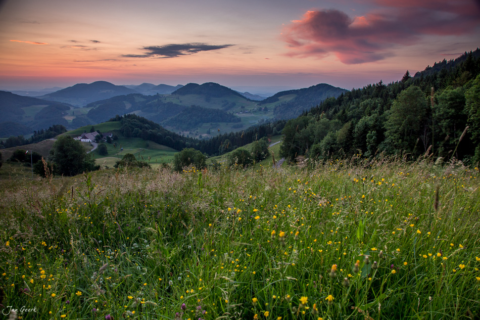 Blütenwiese mit Löwenzahn bei Belchen im Jura während Sommersonnenuntergang, Schweiz – Jan Geerk Fotograf Basel
