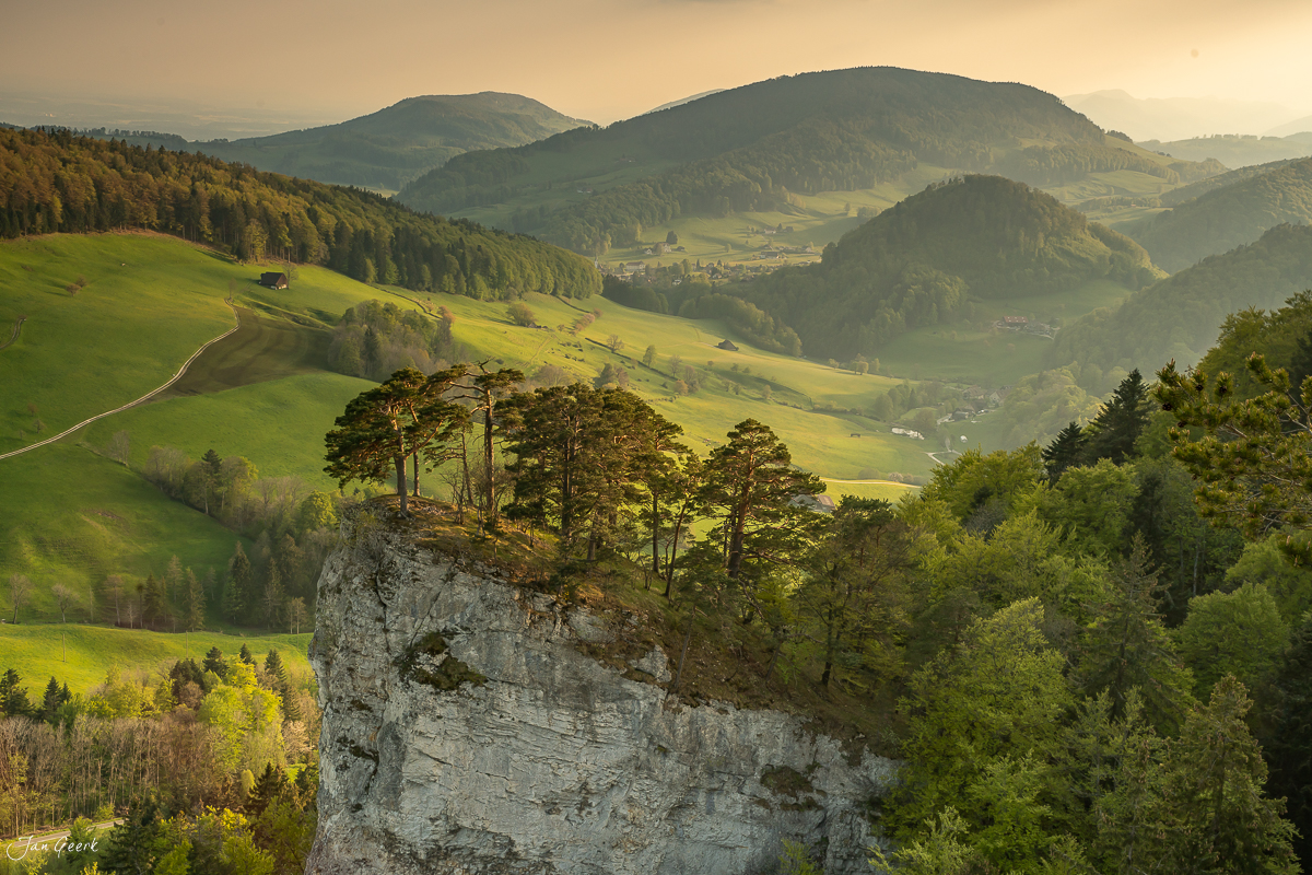 Felsenformation mit Kiefern auf dem Belchen, grüne Hügellandschaft, Baselbiet, Schweiz – Jan Geerk Fotograf Basel
