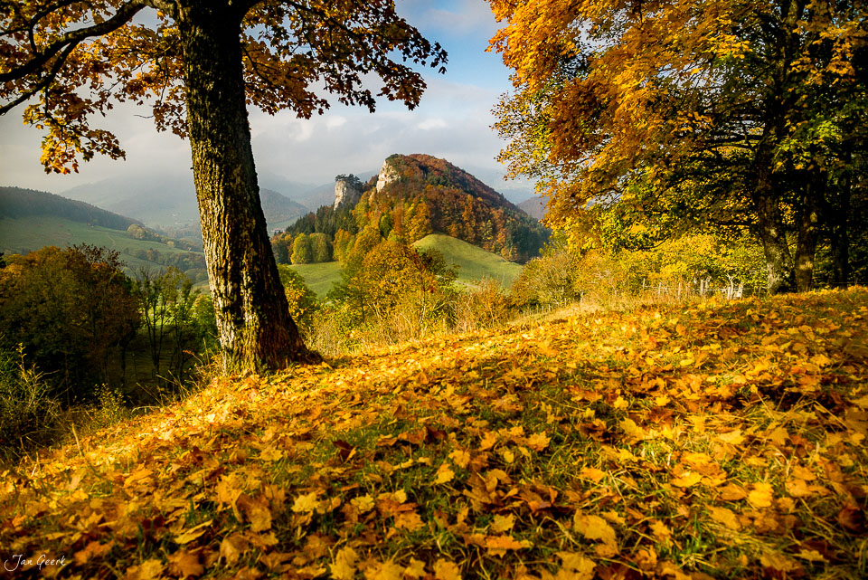 Herbstliche Buchen und Herbstlaub am Belchen mit Blick auf die Jurakette im Baselbiet Schweiz – Jan Geerk Fotograf Basel