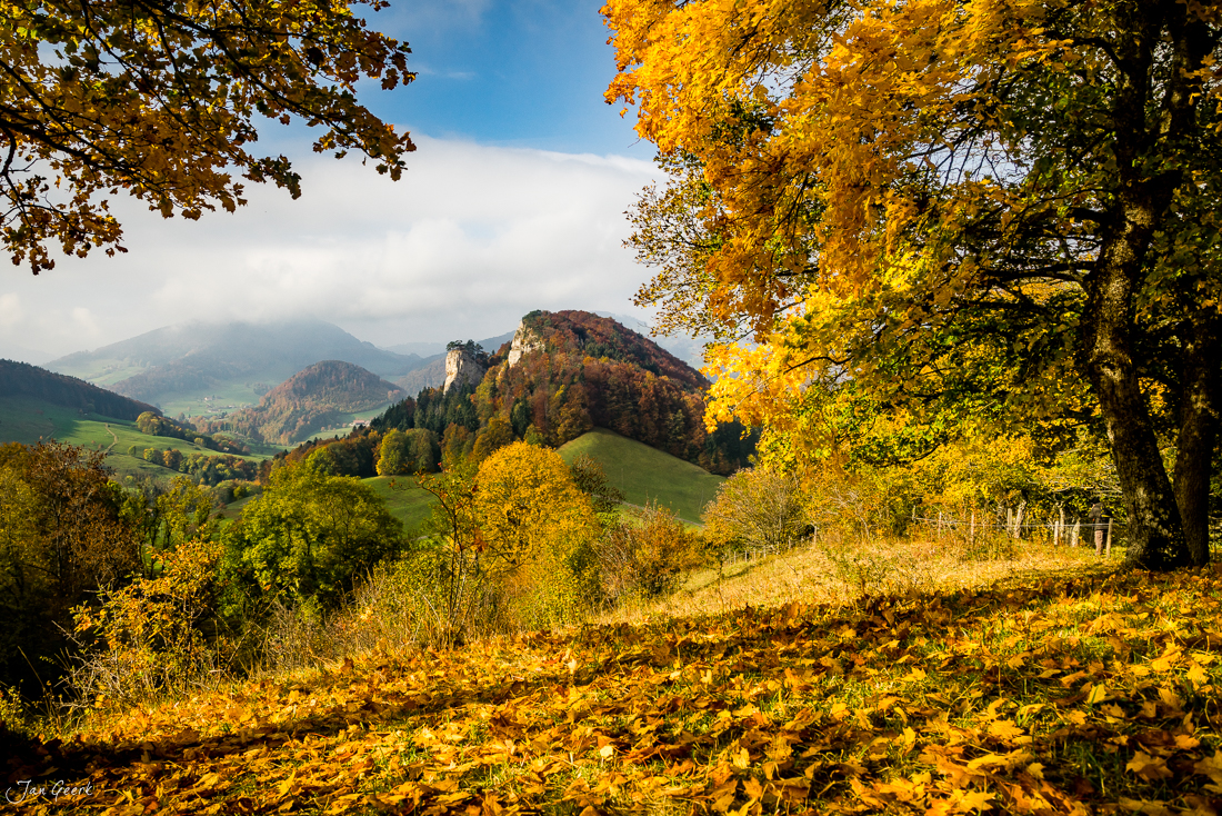Herbstliche Landschaft am Belchen mit golden gefärbten Bäumen, Hügeln und Burg im Hintergrund, Baselland Schweiz – Jan Geerk Fotograf Basel