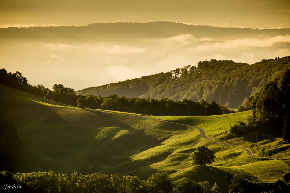 Grüne Hügellandschaft mit Belchen und Waldkette in goldenem Licht, Baselbiet Schweiz – Jan Geerk Fotograf Basel