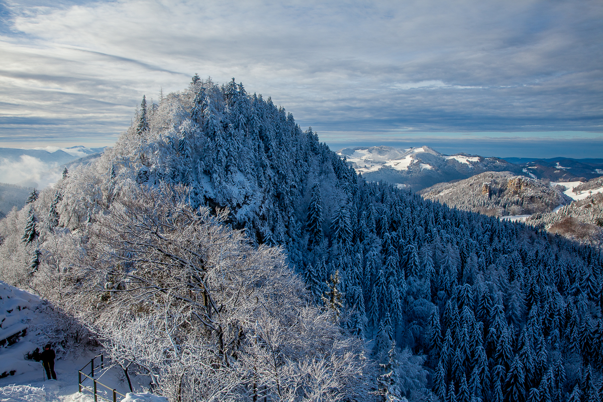 Verschneite Tannenwälder am Bölchen mit Jurahöhen, Winterlandschaft Nordwestschweiz – Jan Geerk Fotograf Basel
