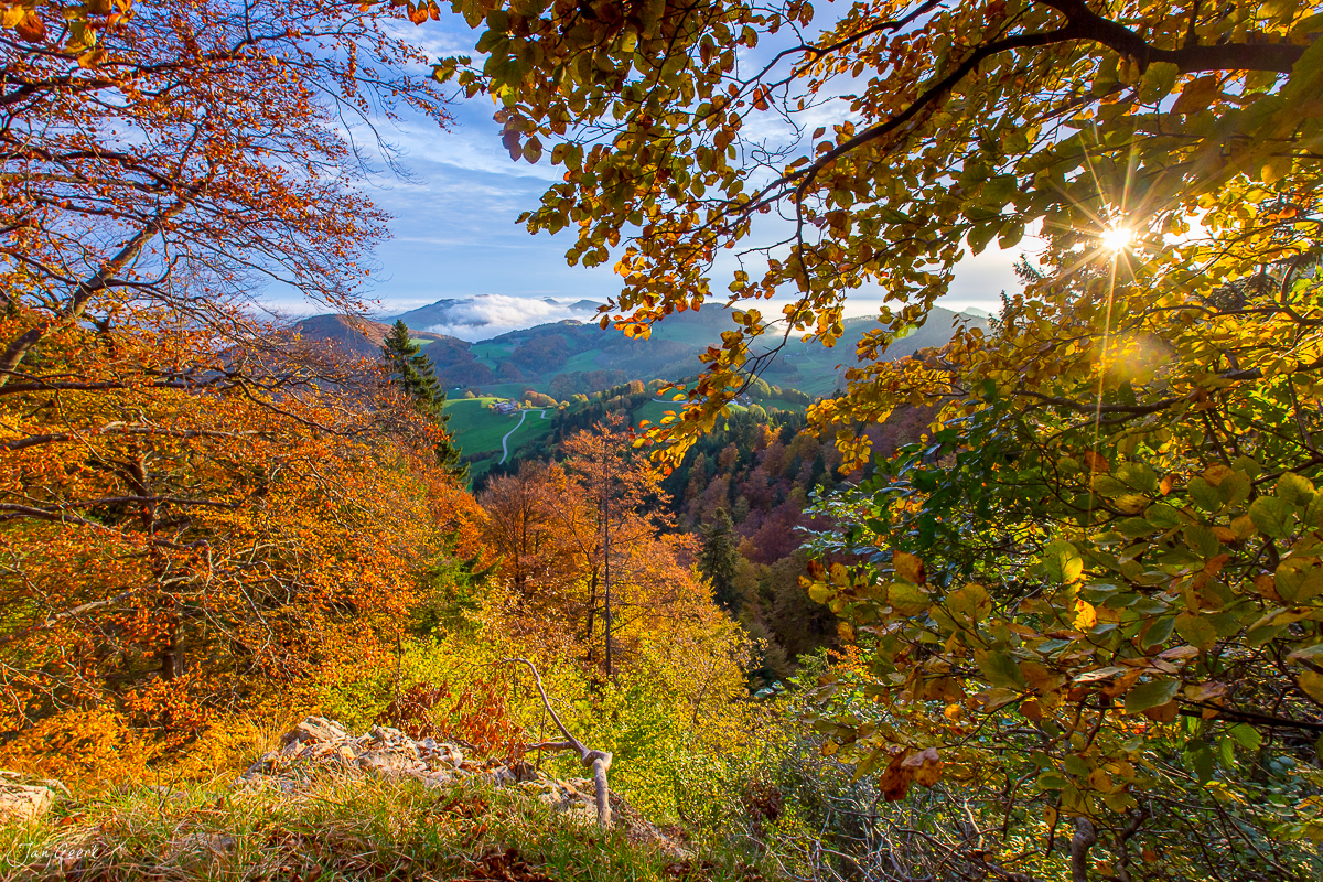 Herbstliche Laubfärbung Bölchen Belchen Baselbiet Herbst Jura Schweiz Jan Geerk
