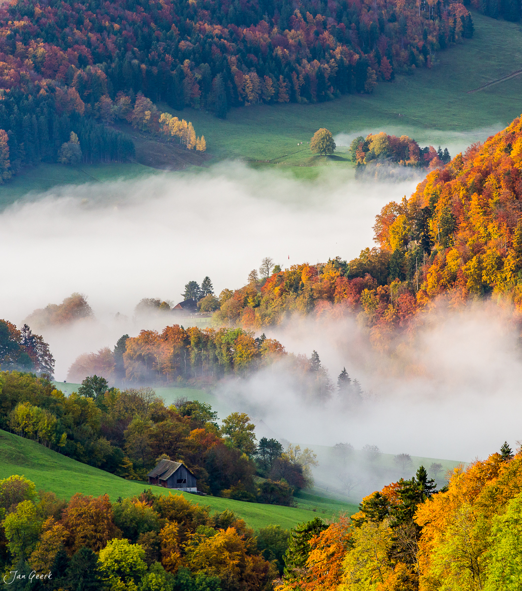 Herbstliche Waldlandschaft mit Nebel Bölchen Belchen Baselbiet Schweiz – Jan Geerk Fotograf Basel