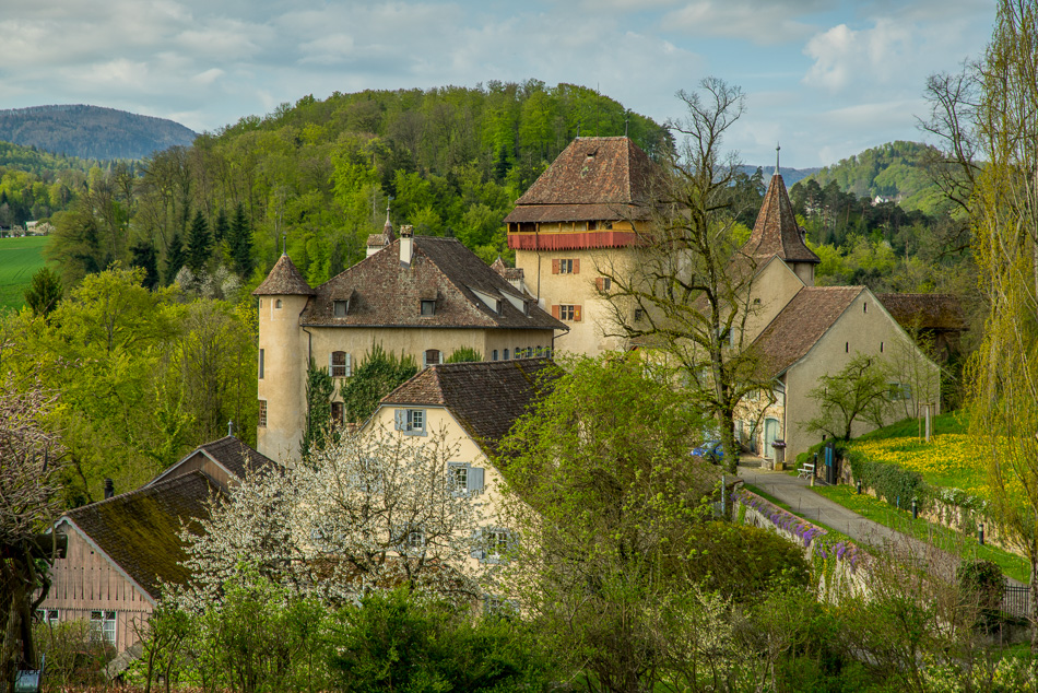 Schloss Wildenstein mit Kirschblüte im Frühling, umgeben von grünen Wäldern und Wiesen im Baselbiet, Schweiz – Jan Geerk Fotograf Basel