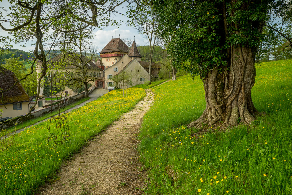 Schloss Wildenstein mit Wanderweg durch grüne Frühjahrslandschaft, Baselland Schweiz – Jan Geerk Fotograf Basel