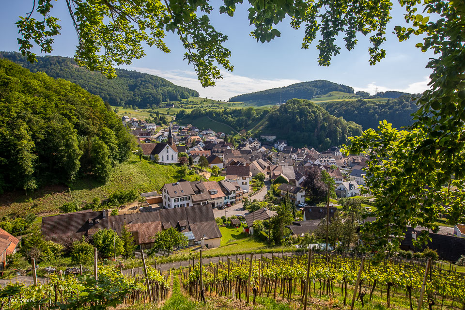 Dorfkern Buus mit Kirche, Weinbau und grünen Hügeln im Frühling, Baselland Schweiz – Jan Geerk Fotograf Basel