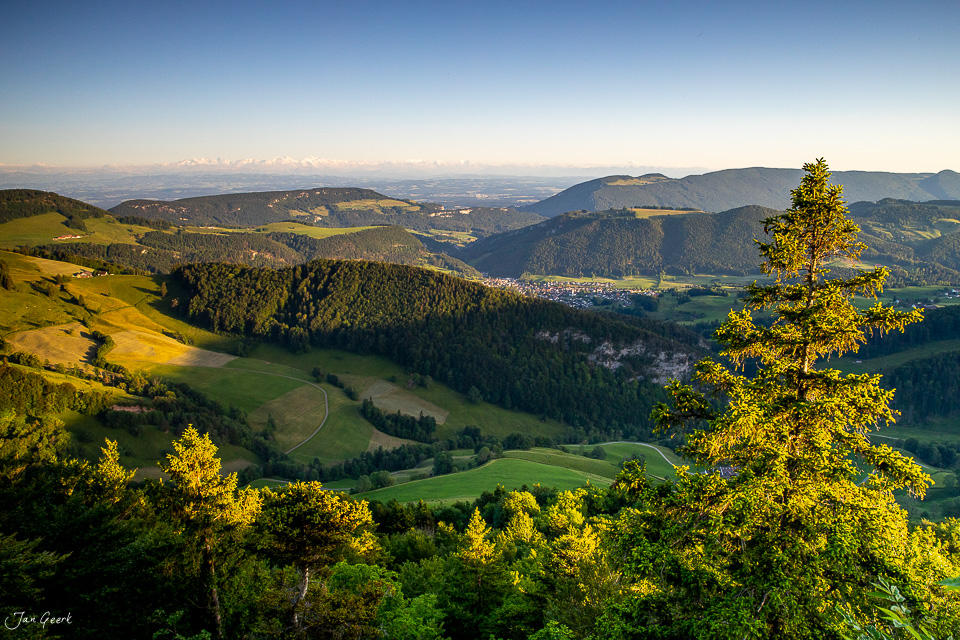 Alpenpanorama vom Chellechöpfli mit grünen Hügeln, Wäldern und Sommerlichtstimmung, Baselland Schweiz – Jan Geerk Fotograf Basel