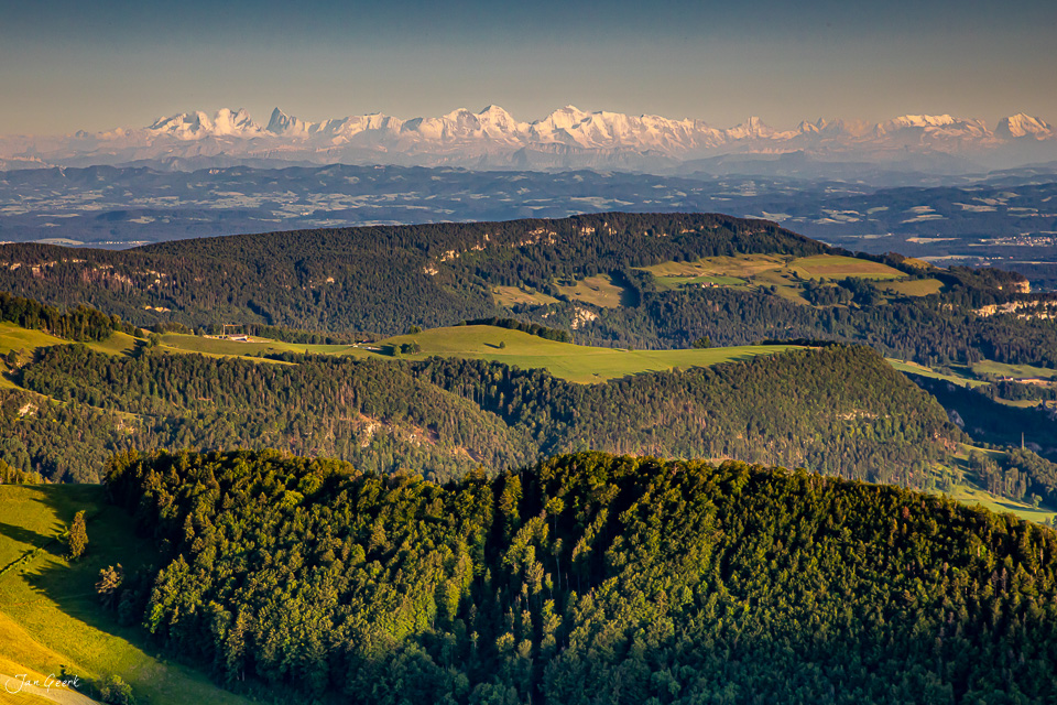 Alpenpanorama vom Chellechöpfli mit Appenzeller Alpen, grüne Hügellandschaft, Sommerlichtstimmung Baselland Schweiz Jan Geerk Fotograf Basel