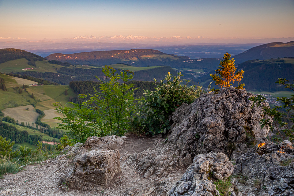 Felsformation mit Alpenpanorama Chellechöpfli Sommer Baselbiet Schweiz Jan Geerk Fotograf Basel