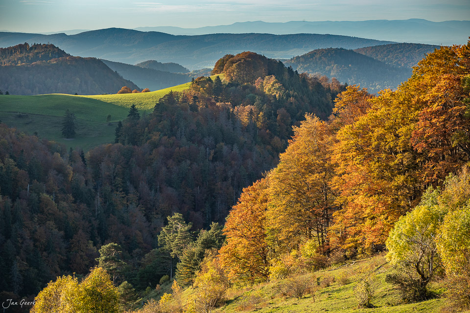 Herbstliche Berglandschaft am Passwang mit goldenen Laubbäumen und grünen Wiesen im Jura der Schweiz – Jan Geerk Fotograf Basel