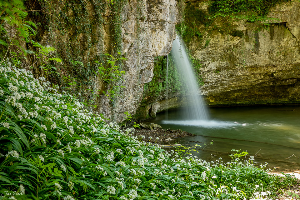 Giessenfall Wasserfall mit weißen Blüten im Frühling Baselland Schweiz – Jan Geerk Fotograf Basel