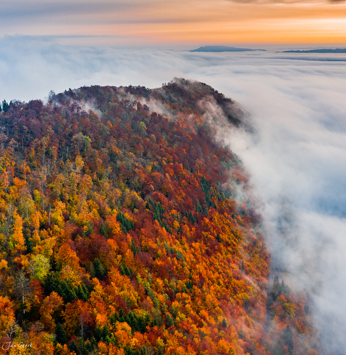 Herbstliche Laubwälder auf der Gisliflue mit Nebel und Fernsicht, Nordwestschweiz Schweiz – Jan Geerk Fotograf Basel