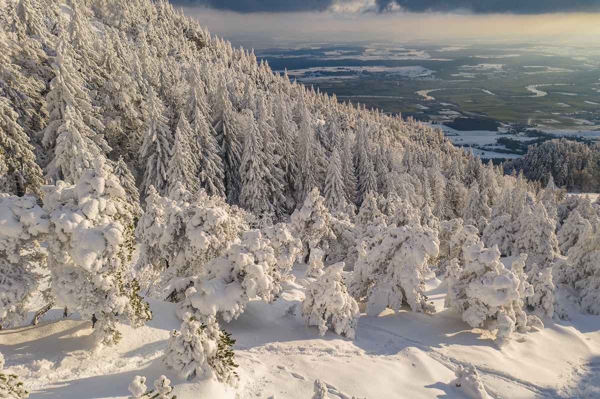 Schneebedeckte Fichtenwälder auf der Hasenmatt mit Ausblick ins Jura-Vorland, Winteraufnahme aus der Luft, Schweiz – Jan Geerk Fotograf Basel