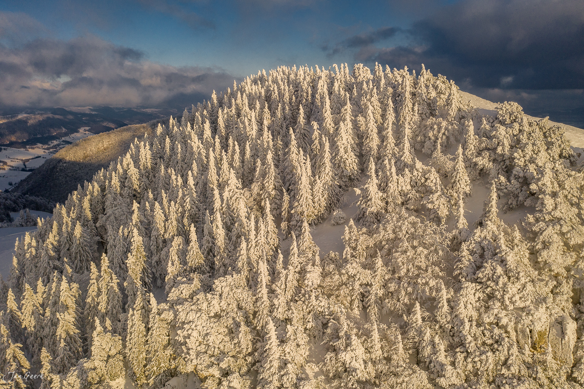 Schneebedeckter Wald auf der Hasenmatt mit Raureif an Fichten, Winterlandschaft im Jura Schweiz – Jan Geerk Fotograf Basel