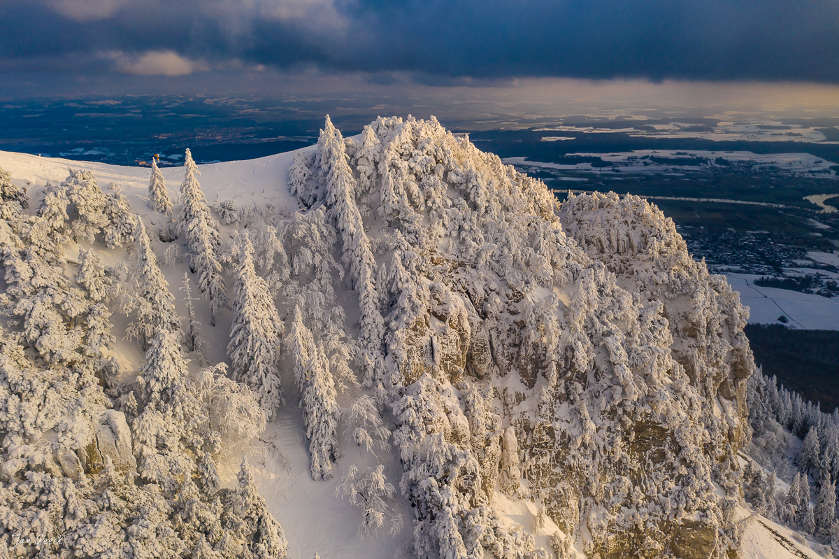 Verschneite Fichten auf der Hasenmatt mit Blick ins Jura-Vorland, Winterluftaufnahme von Jan Geerk Fotograf Basel