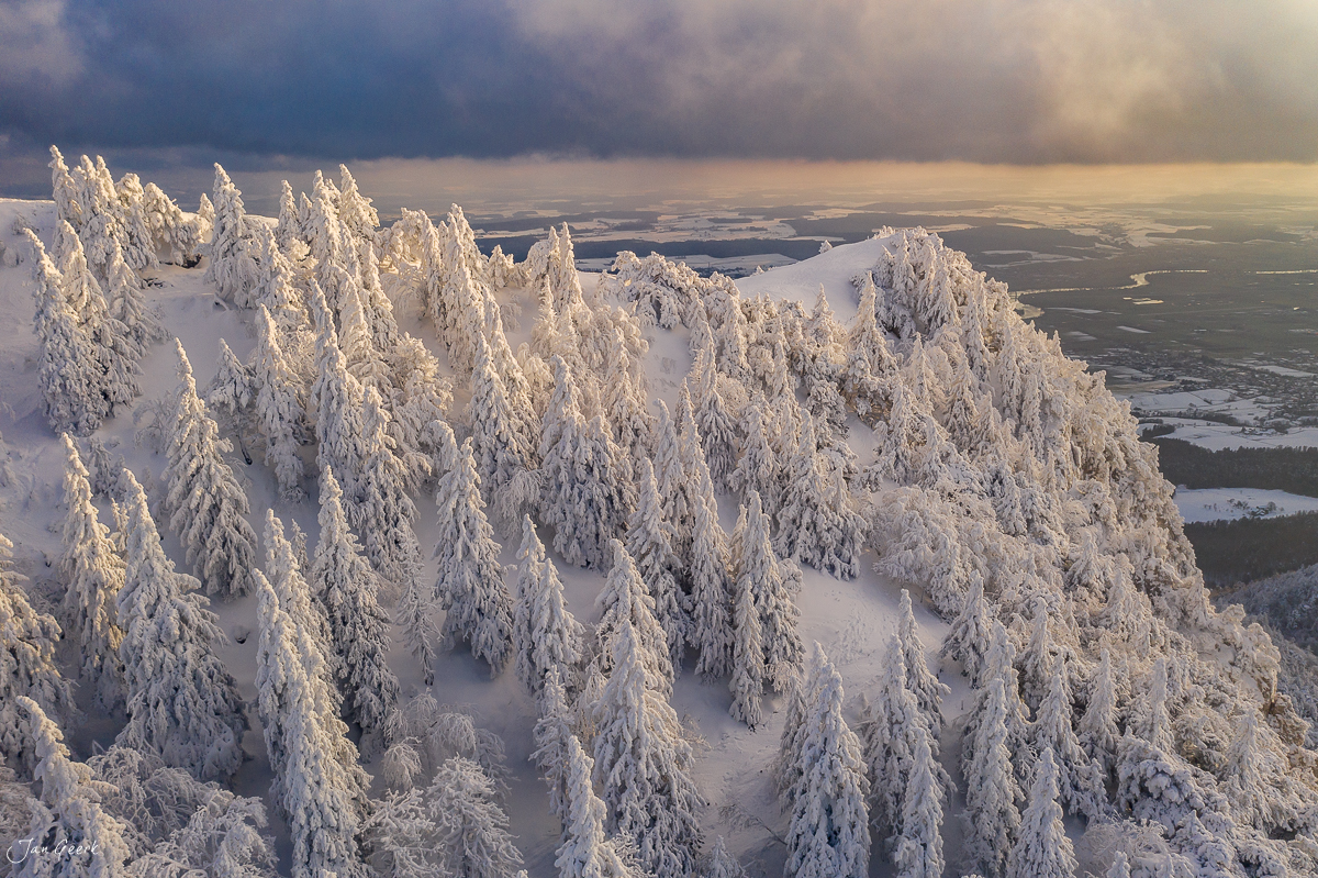 Schneebedeckte Fichten auf der Hasenmatt mit Blick ins Jura-Tal bei Winterlicht – Jan Geerk Fotograf Basel
