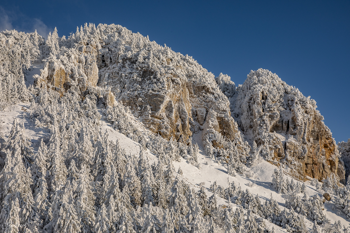 Schneebedeckte Fichtenwälder und Felsklippen auf der Hasenmatt im Jura während arktischer Winterstimmung – Jan Geerk Fotograf Basel