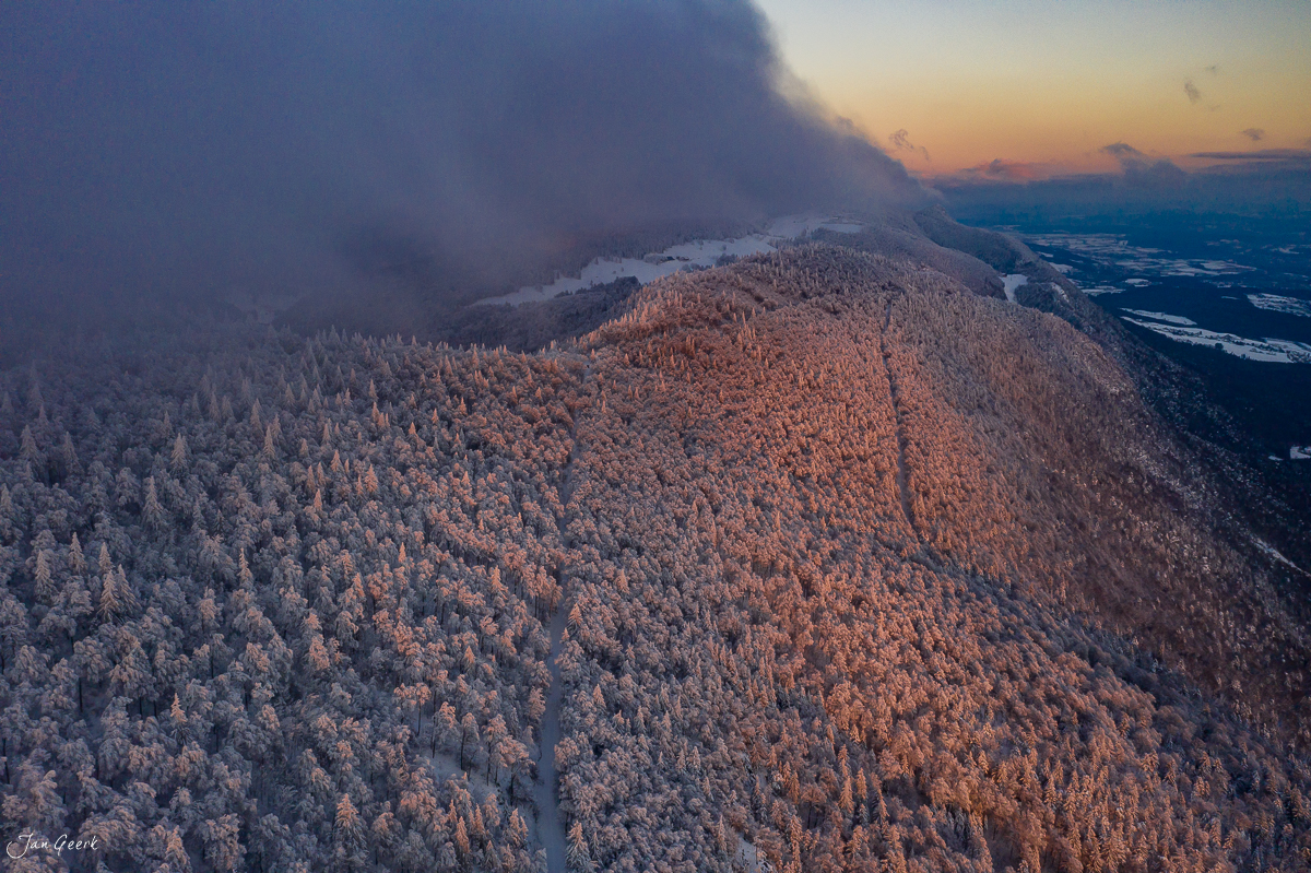 Schneebedeckte Fichtenwälder auf der Hasenmatt im Jura bei Sonnenaufgang, Schweiz – Jan Geerk Fotograf Basel