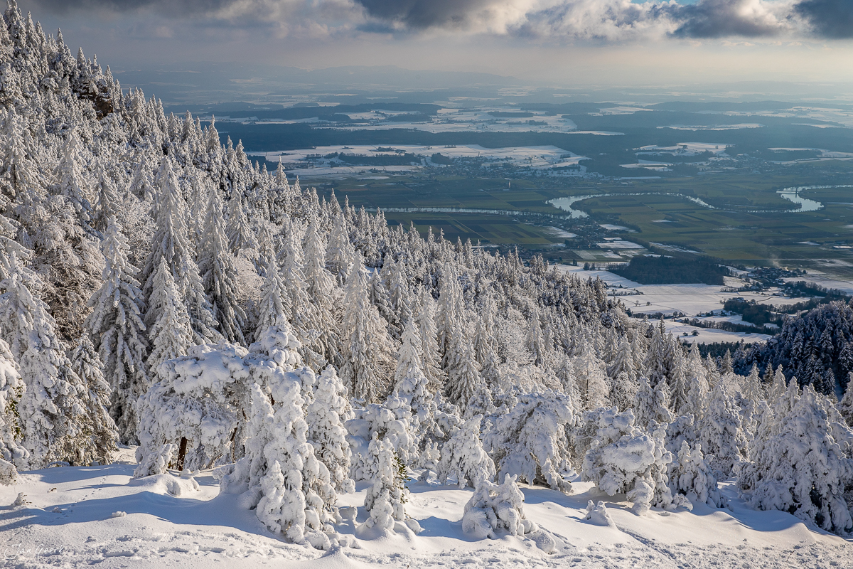 Schneebedeckte Fichten auf der Hasenmatt mit verschneitem Jura und Flachland darunter, Winterlandschaft Schweiz – Jan Geerk Fotograf Basel