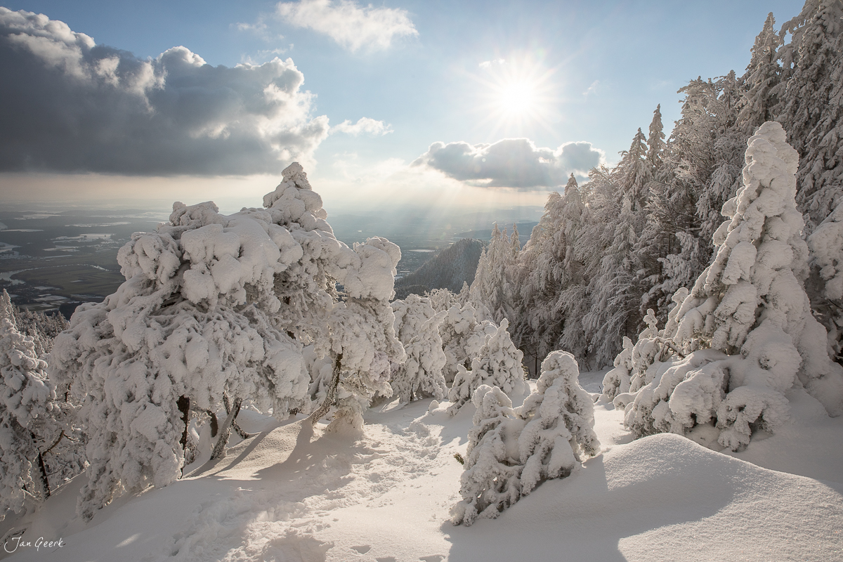 Schneebedeckte Fichten und Felsenformation auf der Hasenmatt im winterlichen Jura, arktische Lichtstimmung, Schweiz – Jan Geerk Fotograf Basel