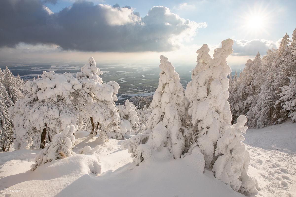 Verschneite Bäume auf der Hasenmatt mit Blick ins Tal, arktische Winterstimmung im Jura der Schweiz – Jan Geerk Fotograf Basel