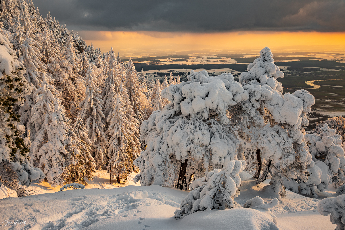 Schneebedeckte Fichten und Arvenwald auf der Hasenmatt mit goldenem Morgenlicht über dem Jura Schweiz Jan Geerk Fotograf Basel