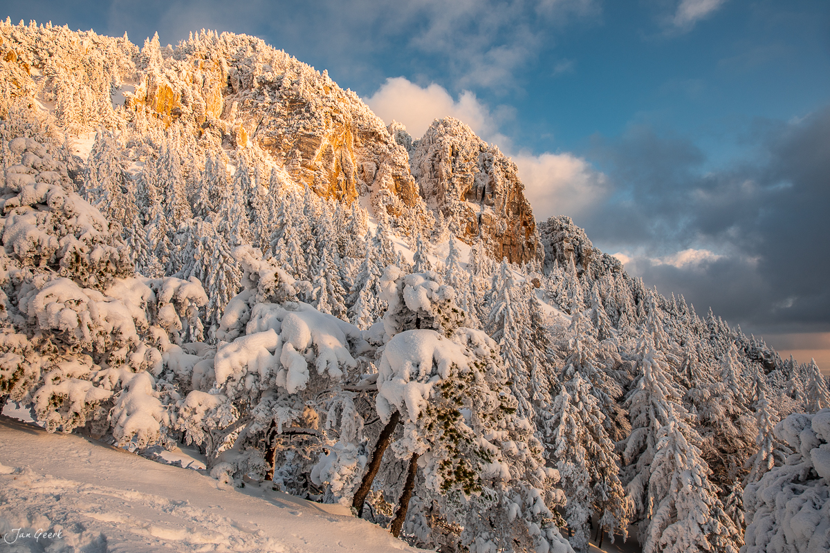 Schneebedeckte Fichten und Felsformationen auf der Hasenmatt im Jura, goldene Morgensonne, Schweiz – Jan Geerk Fotograf Basel