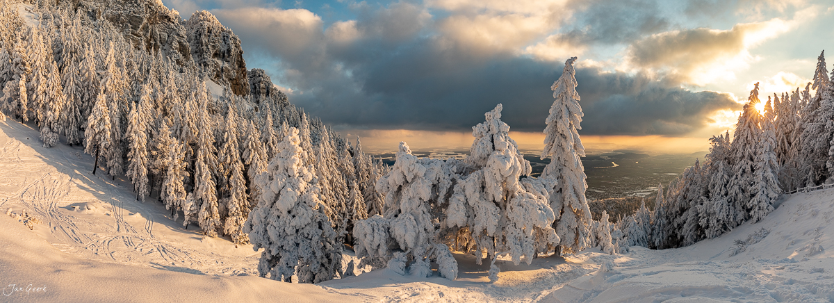 Schneebedeckte Fichten und Kiefern auf der Hasenmatt im goldenen Morgenlicht, Jura Schweiz – Jan Geerk Fotograf Basel