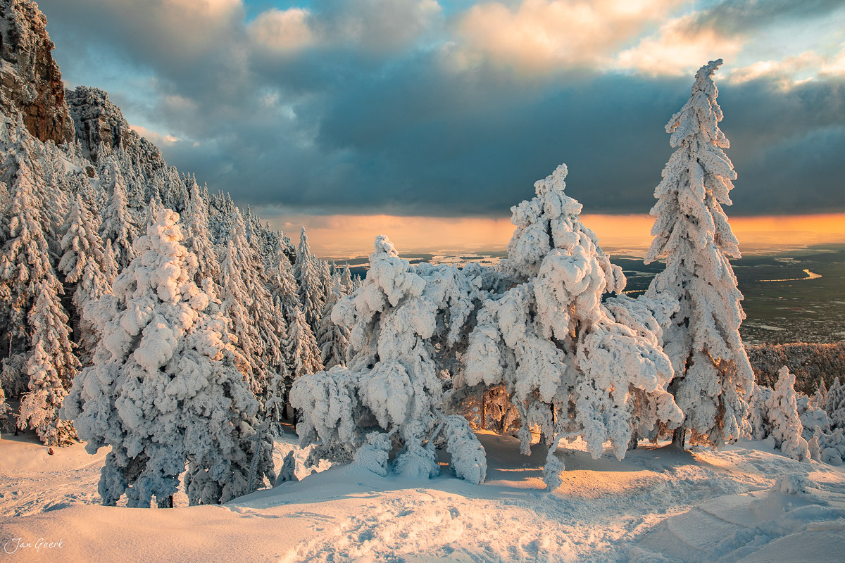 Schneebedeckte Fichten auf der Hasenmatt im Jura bei Sonnenaufgang, winterliche Berglandschaft Schweiz – Jan Geerk Fotograf Basel