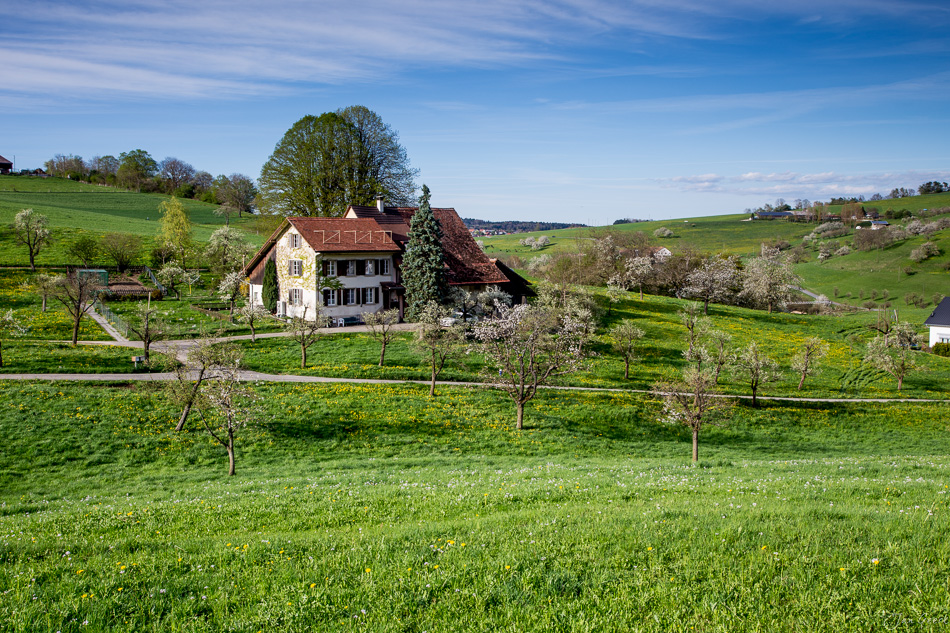 Bauernhaus mit Kirschblüten in Oltingen Frühling Baselbiet Schweiz Jan Geerk Fotograf Basel