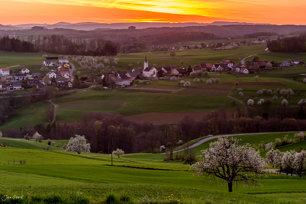 Frühling in Oltingen mit blühenden Kirschbäumen, grünen Feldern und Dorfkirche bei Sonnenaufgang, Baselbiet Schweiz – Jan Geerk Fotograf Basel
