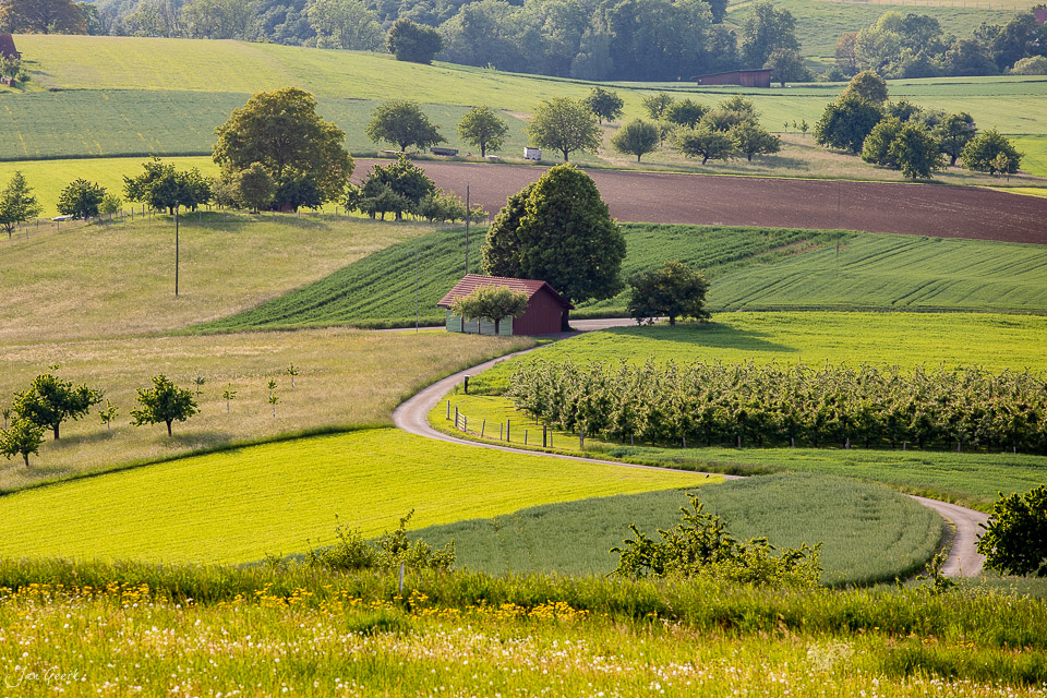 Idyllische Landschaft mit Bauernhof in Kilchberg, grüne Felder und Obstgarten, Kantlicht Baselland Schweiz – Jan Geerk Fotograf Basel
