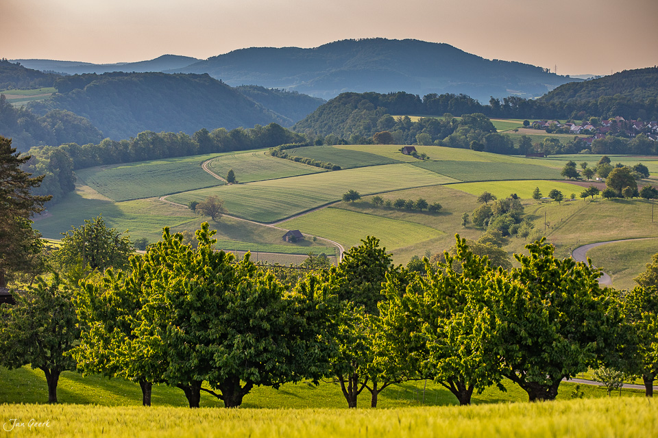 Grüne Obstbäume und Ackerland in Kilchberg mit Dorf und Bergen im Hintergrund, goldenes Kantlicht, Baselland Schweiz – Jan Geerk Fotograf Basel