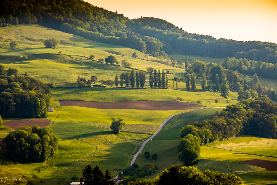Grüne Hügellandschaft mit Pappelreihe in Kilchberg Baselland bei Sonnenlicht Frühling Schweiz Jan Geerk Fotograf Basel