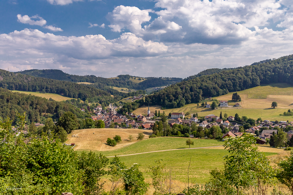 Blick auf Langenbruck mit Dorfsilhouette, grünen Wiesen und bewaldeten Hügeln im Sommer, Baselland Schweiz – Jan Geerk Fotograf Basel
