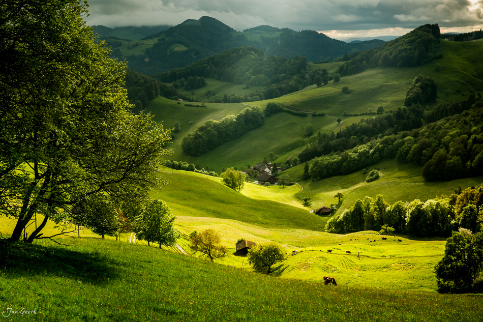 Grüne Hügellandschaft Bölchenregion mit Weiden und Wald, Frühlingsstimmung, Baselland Schweiz – Jan Geerk Fotograf Basel
