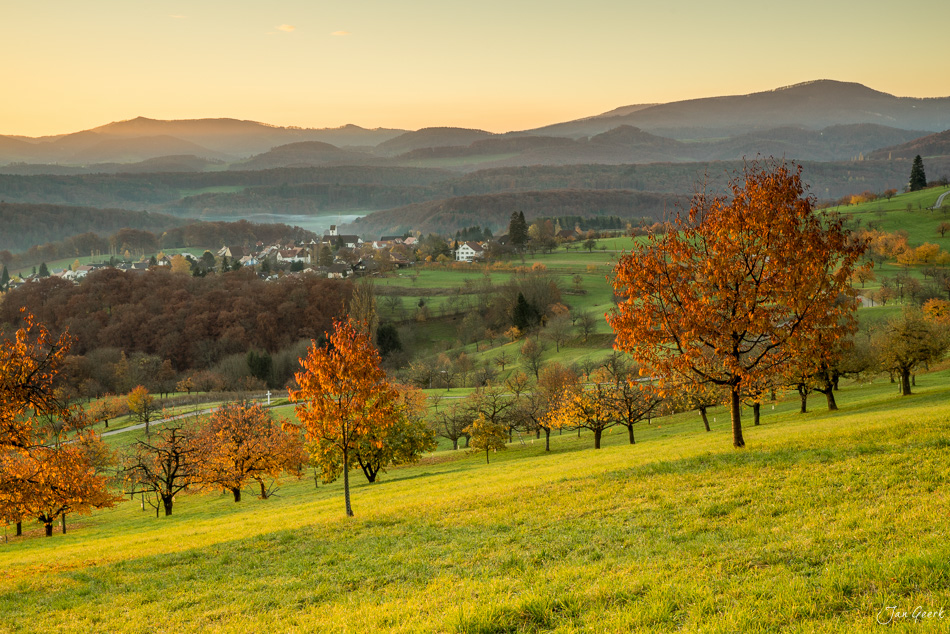 Herbstliche Hügellandschaft bei Nuglar mit goldenen Bäumen und Dorf im Tal, Nordwestschweiz – Jan Geerk Fotograf Basel